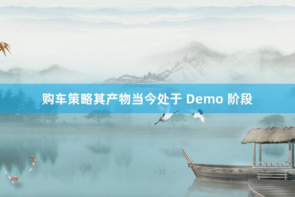 购车策略其产物当今处于 Demo 阶段