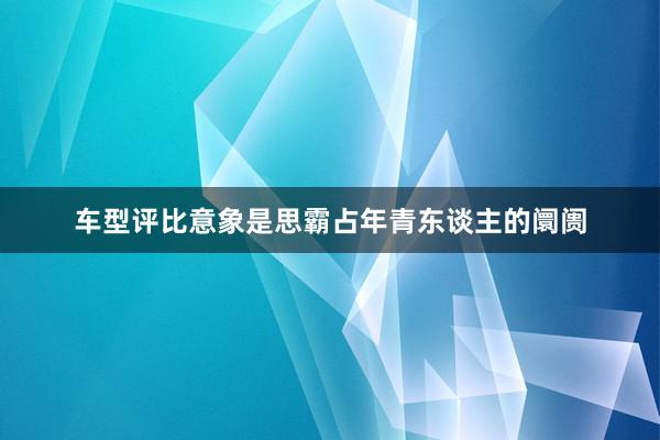 车型评比意象是思霸占年青东谈主的阛阓