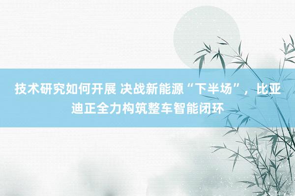 技术研究如何开展 决战新能源“下半场”，比亚迪正全力构筑整车智能闭环