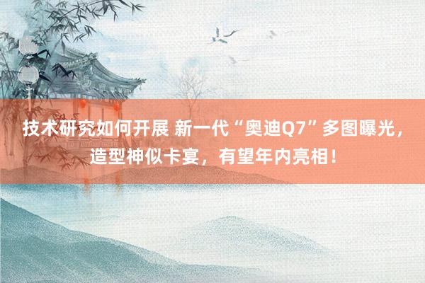 技术研究如何开展 新一代“奥迪Q7”多图曝光，造型神似卡宴，有望年内亮相！