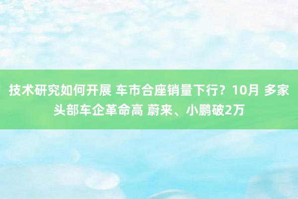 技术研究如何开展 车市合座销量下行？10月 多家头部车企革命高 蔚来、小鹏破2万