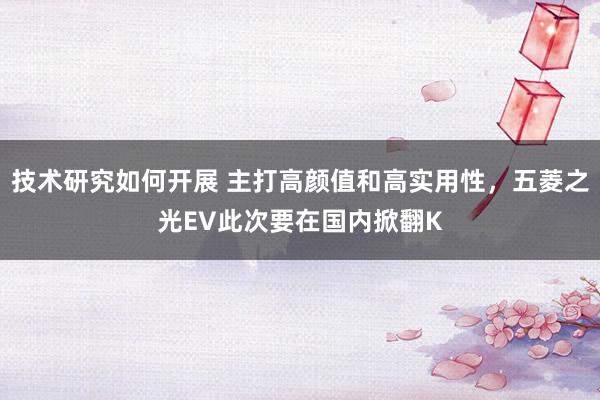 技术研究如何开展 主打高颜值和高实用性，五菱之光EV此次要在国内掀翻K