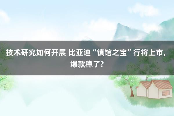 技术研究如何开展 比亚迪“镇馆之宝”行将上市, 爆款稳了?