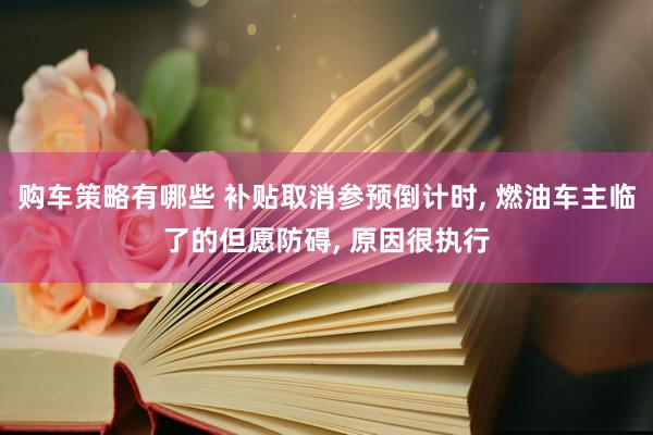 购车策略有哪些 补贴取消参预倒计时, 燃油车主临了的但愿防碍, 原因很执行