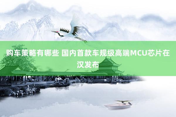 购车策略有哪些 国内首款车规级高端MCU芯片在汉发布