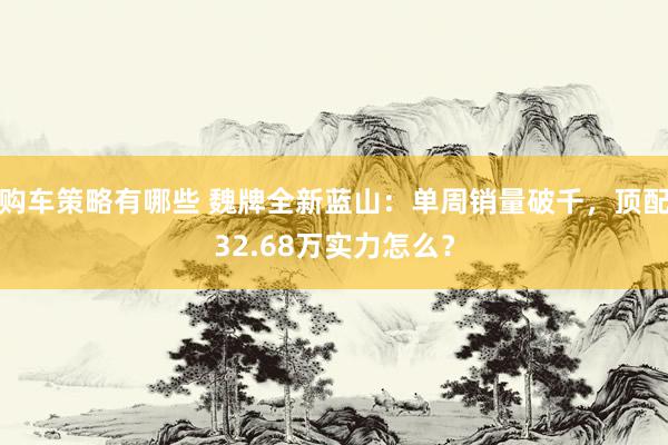 购车策略有哪些 魏牌全新蓝山：单周销量破千，顶配32.68万实力怎么？