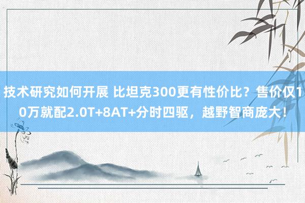 技术研究如何开展 比坦克300更有性价比？售价仅10万就配2.0T+8AT+分时四驱，越野智商庞大！