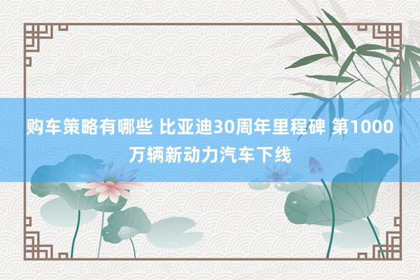 购车策略有哪些 比亚迪30周年里程碑 第1000万辆新动力汽车下线