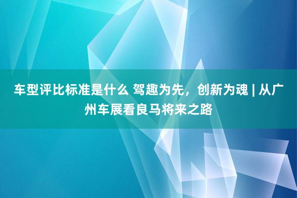 车型评比标准是什么 驾趣为先，创新为魂 | 从广州车展看良马将来之路