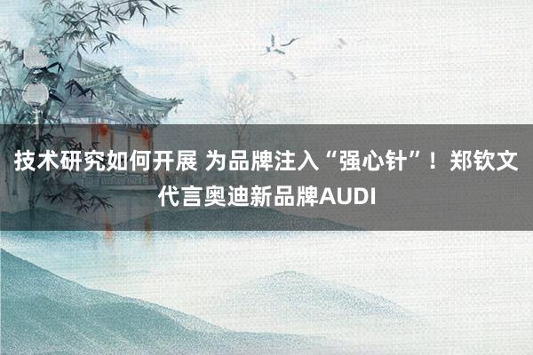 技术研究如何开展 为品牌注入“强心针”！郑钦文代言奥迪新品牌AUDI