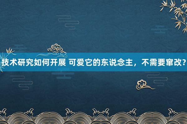 技术研究如何开展 可爱它的东说念主，不需要窜改？