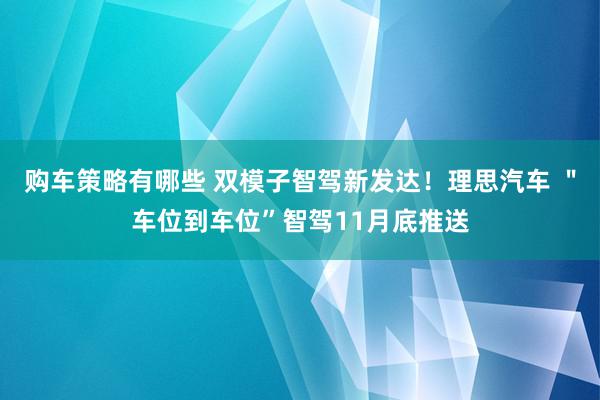 购车策略有哪些 双模子智驾新发达！理思汽车 ＂车位到车位”智驾11月底推送