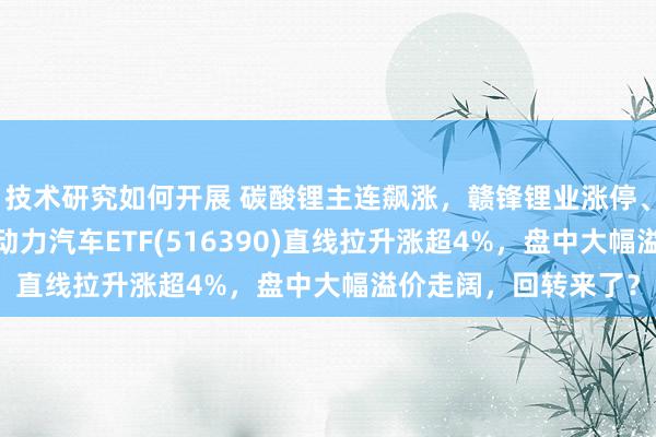 技术研究如何开展 碳酸锂主连飙涨，赣锋锂业涨停、宁德期间涨3%，新动力汽车ETF(516390)直线拉升涨超4%，盘中大幅溢价走阔，回转来了？