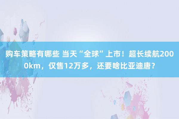 购车策略有哪些 当天“全球”上市！超长续航2000km，仅售12万多，还要啥比亚迪唐？