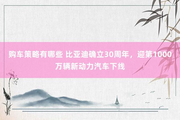 购车策略有哪些 比亚迪确立30周年，迎第1000万辆新动力汽车下线