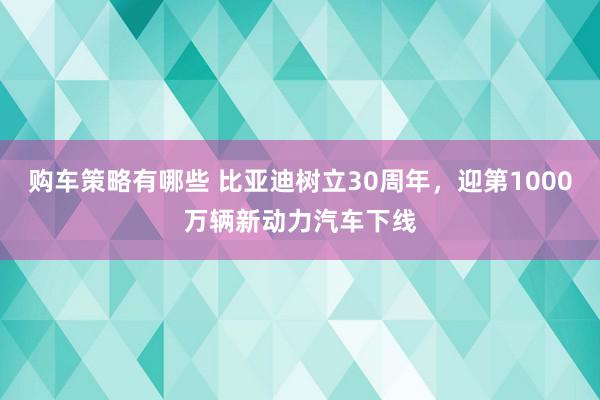 购车策略有哪些 比亚迪树立30周年，迎第1000万辆新动力汽车下线