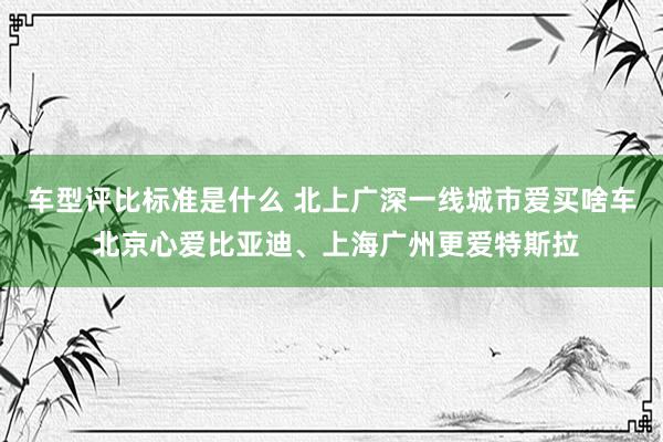 车型评比标准是什么 北上广深一线城市爱买啥车 北京心爱比亚迪、上海广州更爱特斯拉