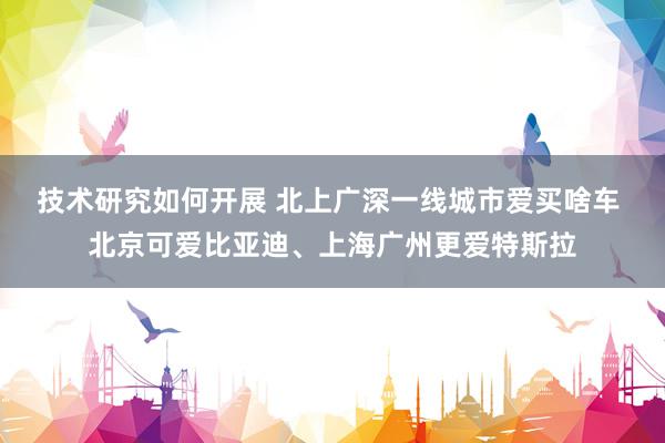 技术研究如何开展 北上广深一线城市爱买啥车 北京可爱比亚迪、上海广州更爱特斯拉