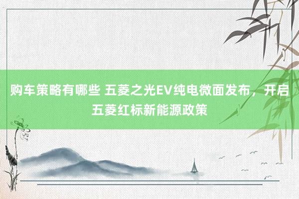 购车策略有哪些 五菱之光EV纯电微面发布，开启五菱红标新能源政策