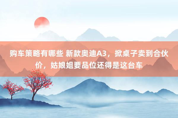 购车策略有哪些 新款奥迪A3，掀桌子卖到合伙价，姑娘姐要品位还得是这台车