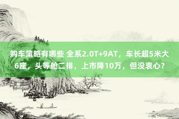 购车策略有哪些 全系2.0T+9AT，车长超5米大6座，头等舱二排，上市降10万，但没衷心？