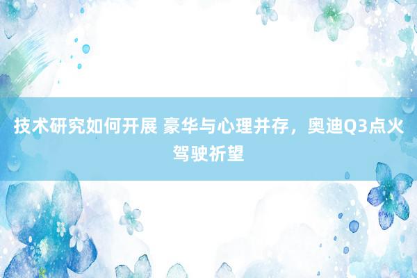 技术研究如何开展 豪华与心理并存，奥迪Q3点火驾驶祈望