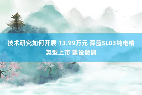 技术研究如何开展 13.99万元 深蓝SL03纯电精英型上市 建设微调