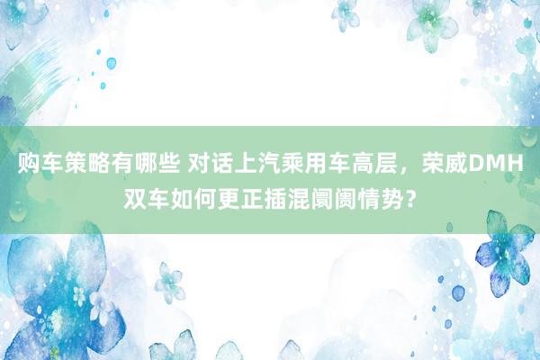 购车策略有哪些 对话上汽乘用车高层，荣威DMH双车如何更正插混阛阓情势？