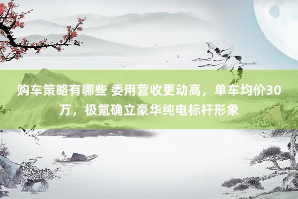 购车策略有哪些 委用营收更动高，单车均价30万，极氪确立豪华纯电标杆形象