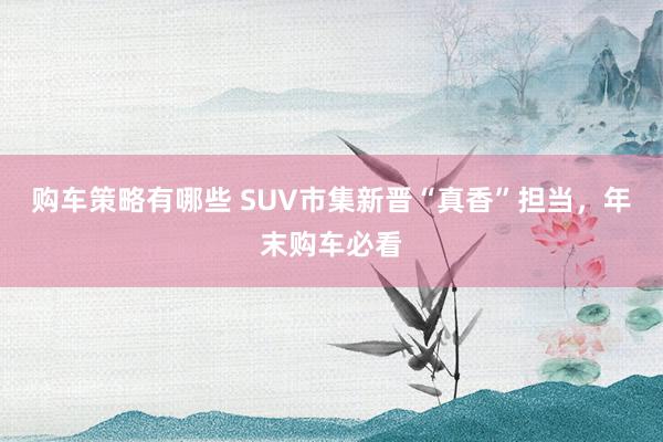 购车策略有哪些 SUV市集新晋“真香”担当，年末购车必看