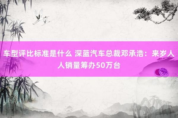 车型评比标准是什么 深蓝汽车总裁邓承浩：来岁人人销量筹办50万台