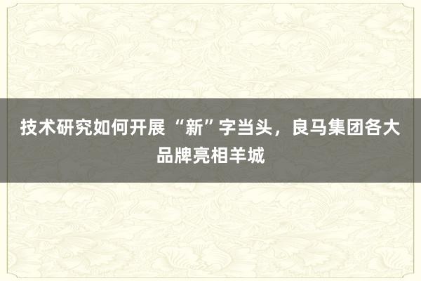 技术研究如何开展 “新”字当头，良马集团各大品牌亮相羊城