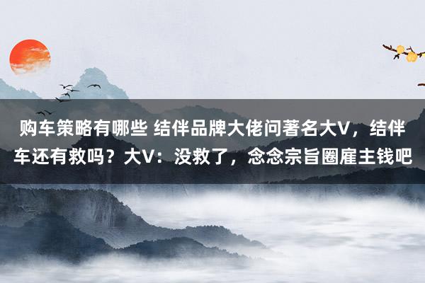 购车策略有哪些 结伴品牌大佬问著名大V，结伴车还有救吗？大V：没救了，念念宗旨圈雇主钱吧