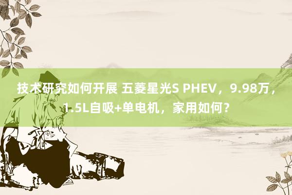 技术研究如何开展 五菱星光S PHEV，9.98万，1.5L自吸+单电机，家用如何？