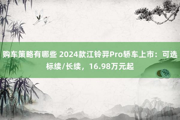 购车策略有哪些 2024款江铃羿Pro轿车上市：可选标续/长续，16.98万元起