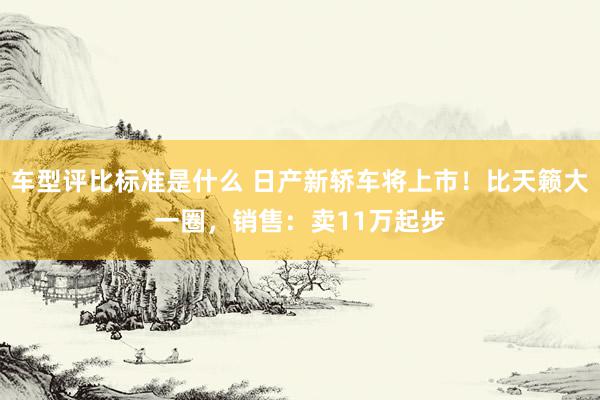 车型评比标准是什么 日产新轿车将上市！比天籁大一圈，销售：卖11万起步