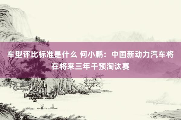 车型评比标准是什么 何小鹏：中国新动力汽车将在将来三年干预淘汰赛