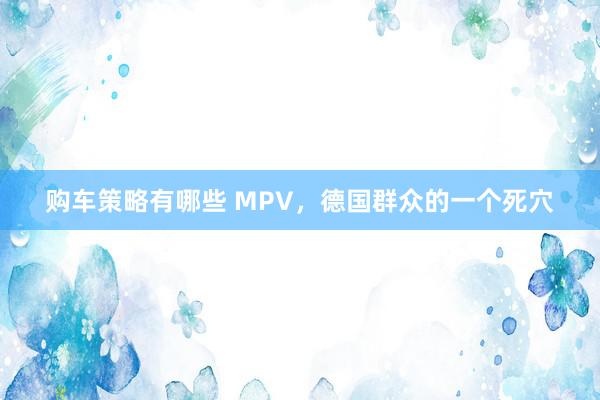 购车策略有哪些 MPV，德国群众的一个死穴