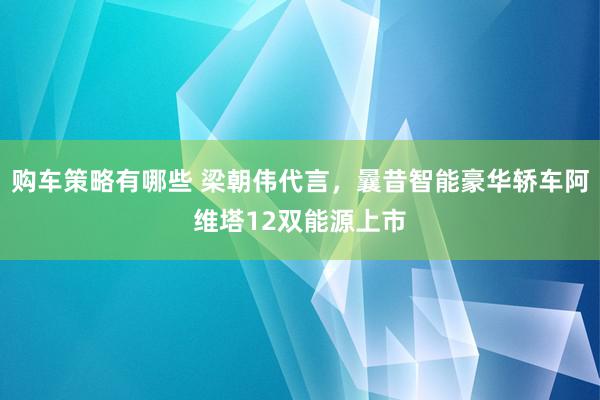 购车策略有哪些 梁朝伟代言，曩昔智能豪华轿车阿维塔12双能源上市