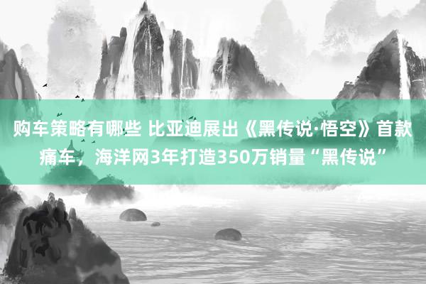 购车策略有哪些 比亚迪展出《黑传说·悟空》首款痛车，海洋网3年打造350万销量“黑传说”