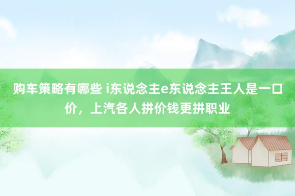 购车策略有哪些 i东说念主e东说念主王人是一口价，上汽各人拼价钱更拼职业