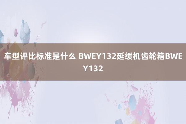 车型评比标准是什么 BWEY132延缓机齿轮箱BWEY132