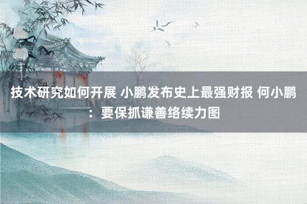 技术研究如何开展 小鹏发布史上最强财报 何小鹏：要保抓谦善络续力图