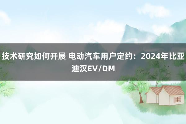 技术研究如何开展 电动汽车用户定约：2024年比亚迪汉EV/DM