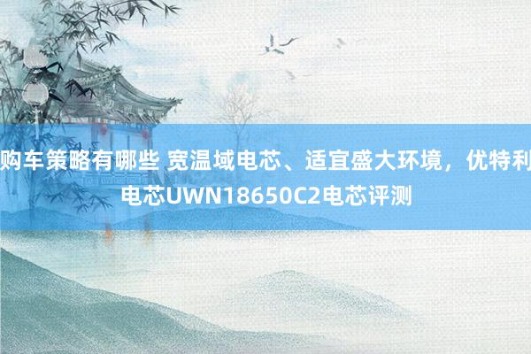 购车策略有哪些 宽温域电芯、适宜盛大环境，优特利电芯UWN18650C2电芯评测