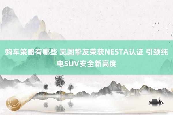 购车策略有哪些 岚图挚友荣获NESTA认证 引颈纯电SUV安全新高度