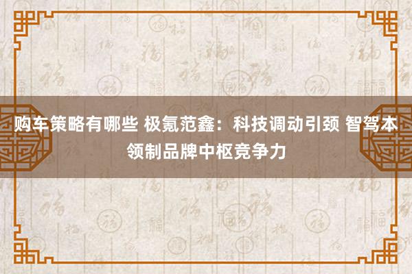 购车策略有哪些 极氪范鑫：科技调动引颈 智驾本领制品牌中枢竞争力