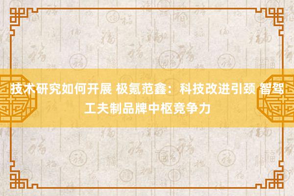 技术研究如何开展 极氪范鑫：科技改进引颈 智驾工夫制品牌中枢竞争力