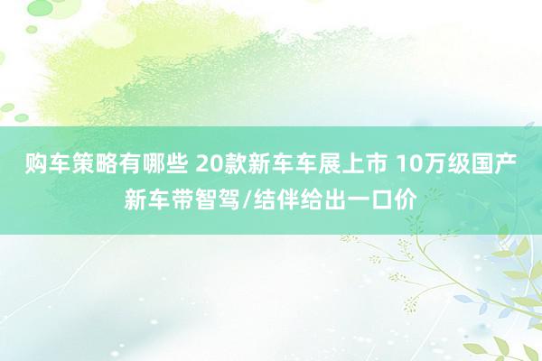 购车策略有哪些 20款新车车展上市 10万级国产新车带智驾/结伴给出一口价