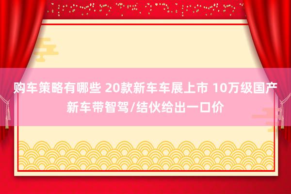 购车策略有哪些 20款新车车展上市 10万级国产新车带智驾/结伙给出一口价